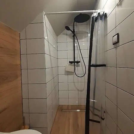 Wypoczynek Pod Jelonkiem شقة كروتشيينكو